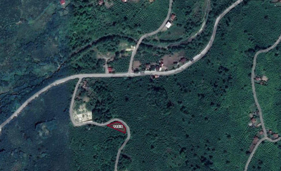 ORDU KUMRULU GÖKÇELİ KÖYÜNDE 1.006M² AĞAÇLIK ALANIMIZ SATILIKTIR. - ORDU KUMRU fotoğraf 3